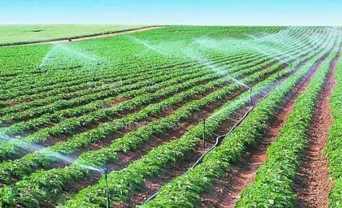 巨屌老外中国游农田高 效节水灌溉